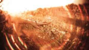 woman's hand enjoying the light in the fields